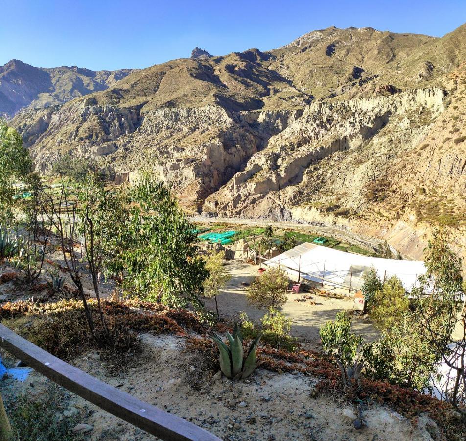 Colibri Eco Lodge & Camping La Paz Buitenkant foto